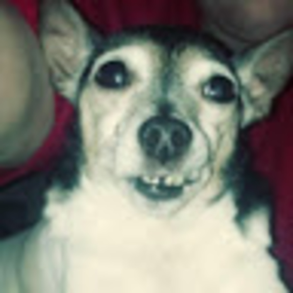 Meet your Posher, Jax